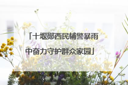 十堰郧西民辅警暴雨中奋力守护群众家园