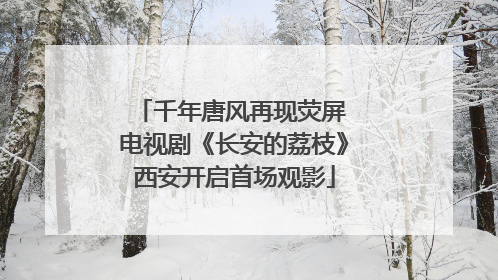 千年唐风再现荧屏 电视剧《长安的荔枝》西安开启首场观影