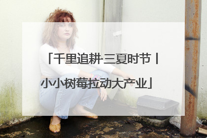 千里追耕·三夏时节丨小小树莓拉动大产业