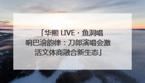 华熙 LIVE・鱼洞唱响巴渝韵律：刀郎演唱会激活文体商融合新生态