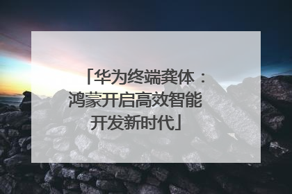 华为终端龚体：鸿蒙开启高效智能开发新时代