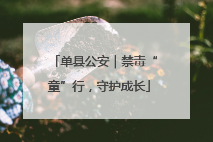 单县公安｜禁毒“童”行，守护成长