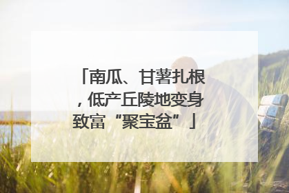 南瓜、甘薯扎根，低产丘陵地变身致富“聚宝盆”