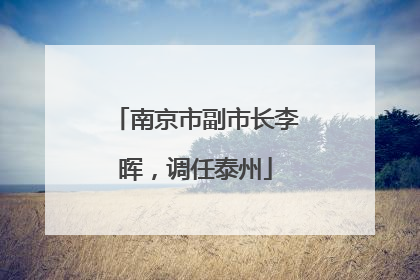 南京市副市长李晖，调任泰州