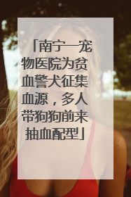 南宁一宠物医院为贫血警犬征集血源，多人带狗狗前来抽血配型
