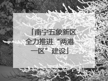 南宁五象新区全力推进“两港一区”建设