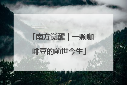 南方觉醒｜一颗咖啡豆的前世今生