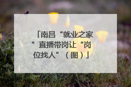南昌“就业之家”直播带岗让“岗位找人”（图）