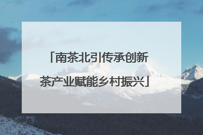 南茶北引传承创新 茶产业赋能乡村振兴