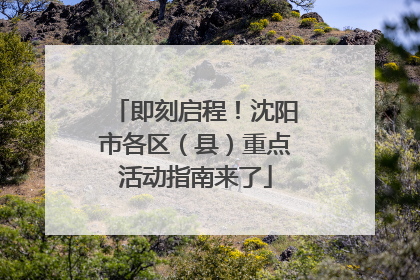 即刻启程！沈阳市各区（县）重点活动指南来了