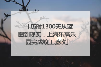 历时1300天从蓝图到现实，上海乐高乐园完成竣工验收