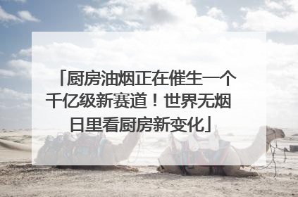 厨房油烟正在催生一个千亿级新赛道！世界无烟日里看厨房新变化