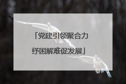 党建引领聚合力 纾困解难促发展
