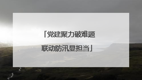 党建聚力破难题 联动防汛显担当