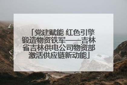 党建赋能 红色引擎锻造物资铁军——吉林省吉林供电公司物资部激活供应链新动能