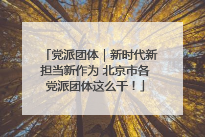 党派团体｜新时代新担当新作为 北京市各党派团体这么干！