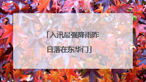入汛最强降雨昨日落在东华门