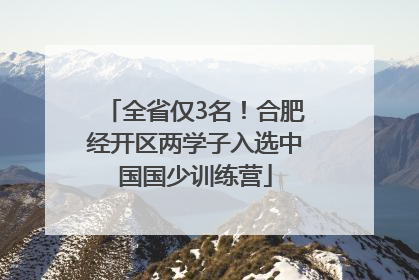 全省仅3名！合肥经开区两学子入选中国国少训练营