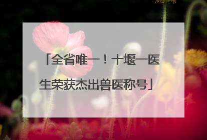 全省唯一！十堰一医生荣获杰出兽医称号