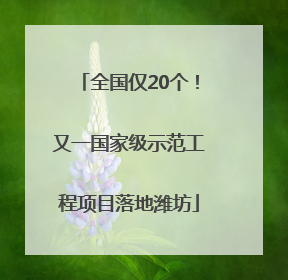 全国仅20个！又一国家级示范工程项目落地潍坊
