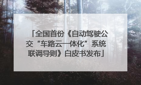 全国首份《自动驾驶公交“车路云一体化”系统联调导则》白皮书发布
