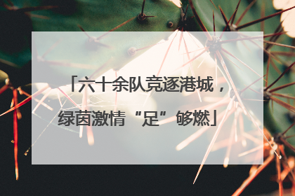 六十余队竞逐港城，绿茵激情“足”够燃