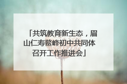 共筑教育新生态，眉山仁寿鳌峰初中共同体召开工作推进会
