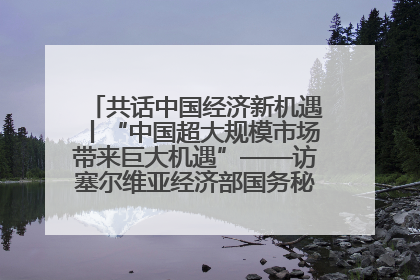共话中国经济新机遇丨“中国超大规模市场带来巨大机遇”——访塞尔维亚经济部国务秘书尼科利奇
