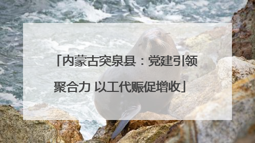 内蒙古突泉县：党建引领聚合力 以工代赈促增收