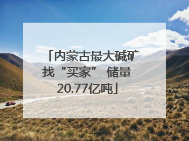 内蒙古最大碱矿找“买家” 储量20.77亿吨