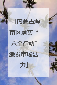内蒙古海南区落实“六个行动”激发市场活力