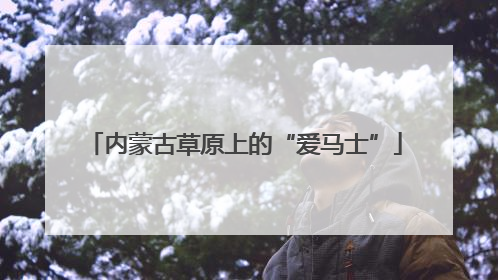 内蒙古草原上的“爱马士”
