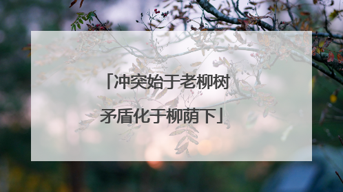 冲突始于老柳树 矛盾化于柳荫下