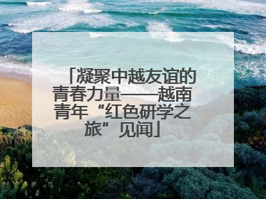 凝聚中越友谊的青春力量——越南青年“红色研学之旅”见闻