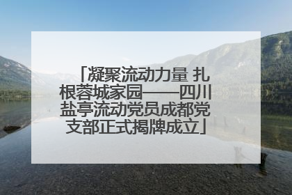 凝聚流动力量 扎根蓉城家园——四川盐亭流动党员成都党支部正式揭牌成立