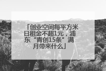 创业空间每平方米日租金不超1元，浦东“青创15条”满月带来什么