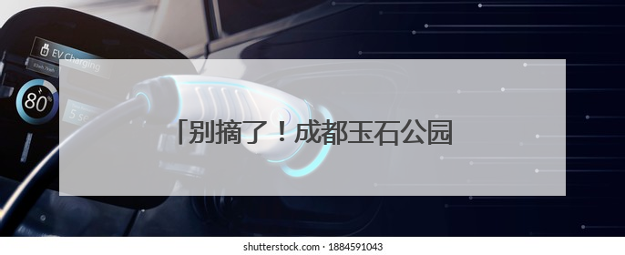 别摘了！成都玉石公园管理方提醒：杨梅可能残留农药，勿采摘食用