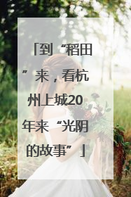 到“稻田”来，看杭州上城20年来“光阴的故事”