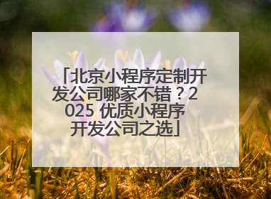 北京小程序定制开发公司哪家不错？2025 优质小程序开发公司之选