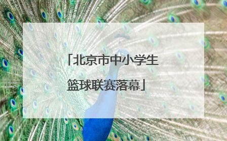北京市中小学生篮球联赛落幕