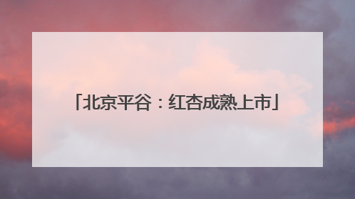 北京平谷：红杏成熟上市