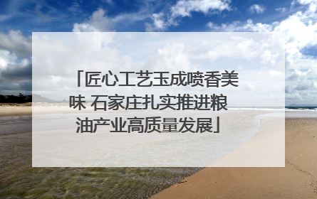 匠心工艺玉成喷香美味 石家庄扎实推进粮油产业高质量发展
