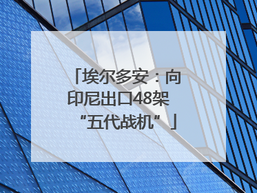 埃尔多安：向印尼出口48架“五代战机”
