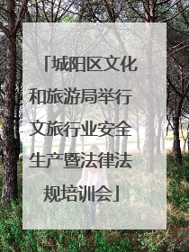 城阳区文化和旅游局举行文旅行业安全生产暨法律法规培训会