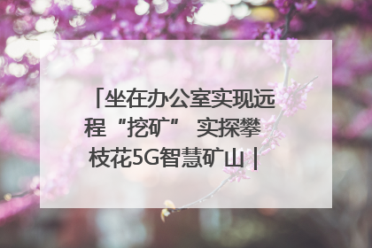 坐在办公室实现远程“挖矿” 实探攀枝花5G智慧矿山｜网络名人四川行