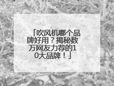 吹风机哪个品牌好用？揭秘数万网友力荐的10大品牌！