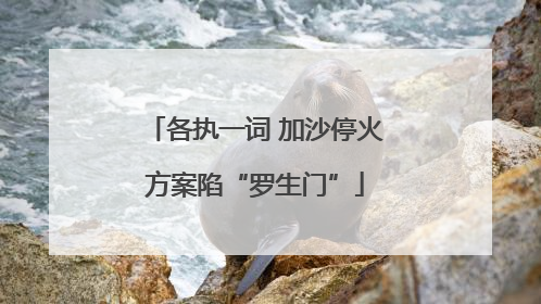 各执一词 加沙停火方案陷“罗生门”