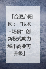 合肥庐阳区：“技术+场景”创新模式助力城市商业再升级