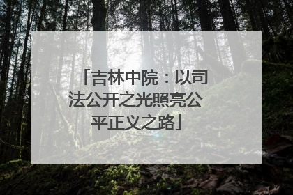 吉林中院：以司法公开之光照亮公平正义之路