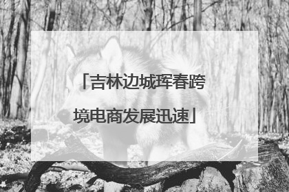 吉林边城珲春跨境电商发展迅速